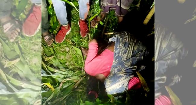 ঘাস কাটতে গিয়ে বাড়ি ফেরা হলো না রহিমার, ভুট্টাক্ষেতে মিলল লাশ