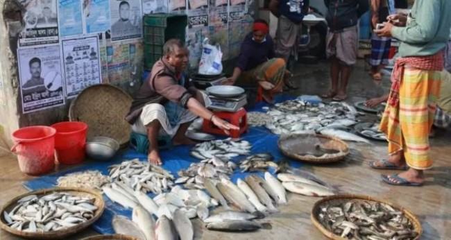 বিলুপ্তির ঝুঁকিতে থাকা যে মাছগুলো আবার খাবার তালিকায় যুক্ত হচ্ছে