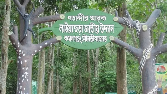 ঈদে লাউয়াছড়ায় পর্যটকের ঢল, ৪৮ ঘণ্টায় আয় সোয়া ৩ লাখ টাকা