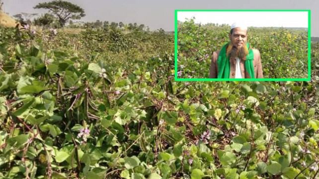 তালতলীতে সবজী চাষে সফল ২ শতাধিক কৃষক