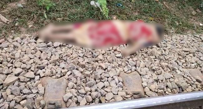 শ্রীপুরে ট্রেনের ধাক্কায় নারীর মৃত্যু!