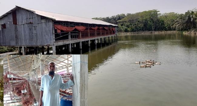 মাছ-মুরগীর সমন্বিত খামারে স্বাবলম্বী লালমোহনের আব্দুল মালেক