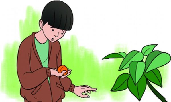 জাদুর জ্যাকেট