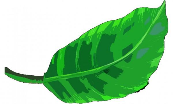 একটি পাতার আত্মজীবনী