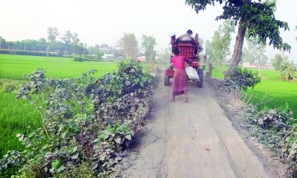 রায়গঞ্জে ৫০ বছর ধরে কাঁচা সড়কে দুর্ভোগ