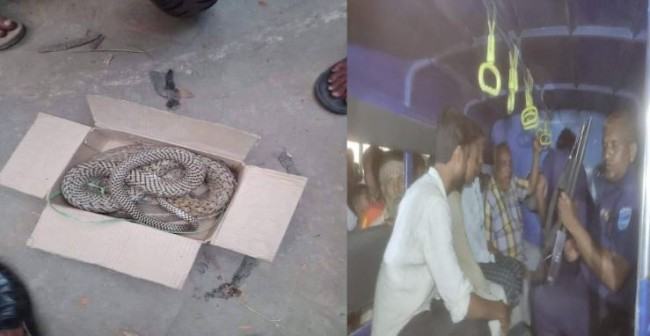 ইউপি চেয়ারম্যানকে সাপ উপহার!