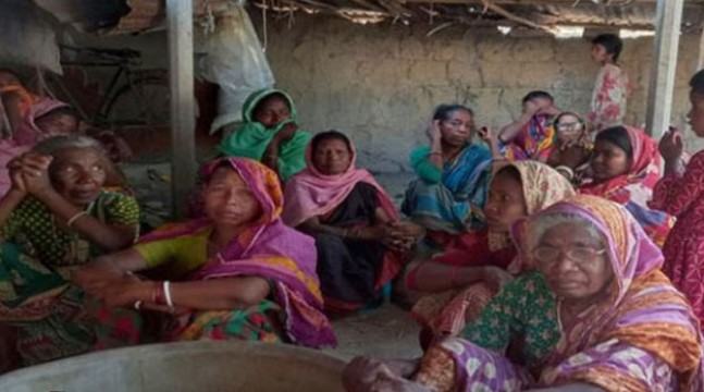 গাফিলতি প্রমাণিত হলে কঠোর ব্যবস্থা : কৃষিসচিব
