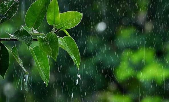 স্বস্তির বৃষ্টি ঝরবে...