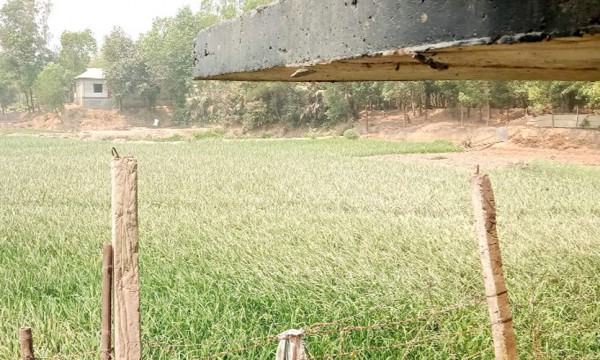 ভালুকায় হ্যাচারির বর্জ্যে ৪০ পরিবার দুর্ভোগেv