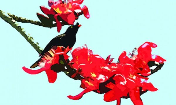 বসন্ত উৎসব