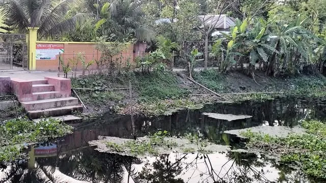 যুবলীগ নেতার বাঁধে খালের পানি পচে ভোগান্তিতে ১০ গ্রামের মানুষ
