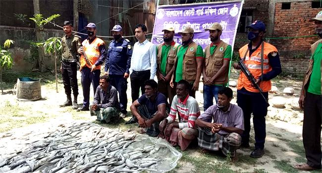 পাথরঘাটায় নিষিদ্ধ হাঙ্গর ও শাপলাপাতা মাছ জব্দ, ১১ জেলে আটক