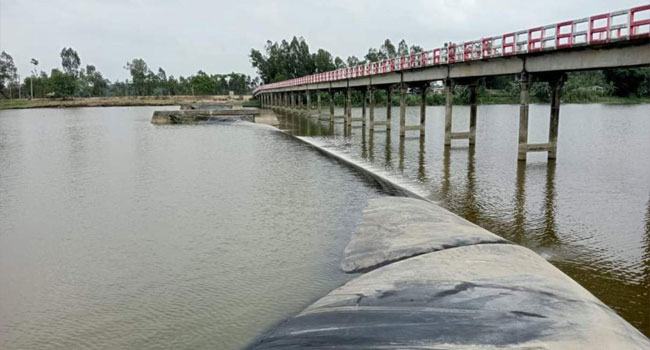 রাবার ড্যাম ছিঁড়ে ঢুকছে লবণাক্ত পানি, বোরো ধানের ক্ষতির আশঙ্কা