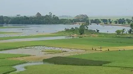 ডুবছে হাওর, কাঁদছে চাষিরা