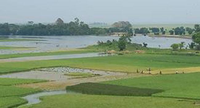 ডুবছে হাওর, কাঁদছে চাষিরা