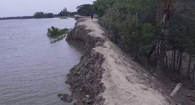 প্রতাপনগরের কপোতাক্ষ নদের বেড়িবাধে ভয়াবহ ভাঙন, আতঙ্কে এলাকাবাসী