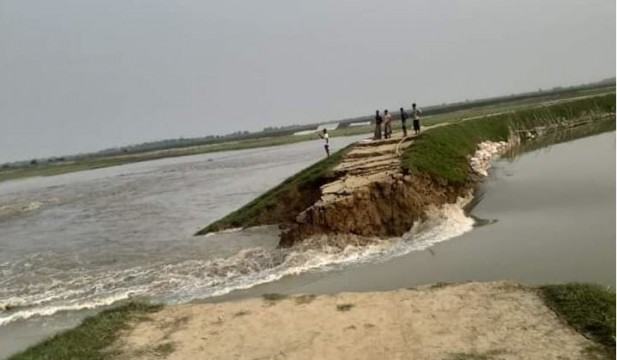 ডুবাইল হাওরের বাঁধ ভেঙ্গে তলিয়ে গেছে ৩০০ হেক্টর জমির ধান