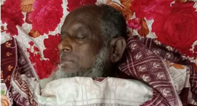 গাছের ডাল কাটতে গিয়ে বৃদ্ধের মৃত্যু