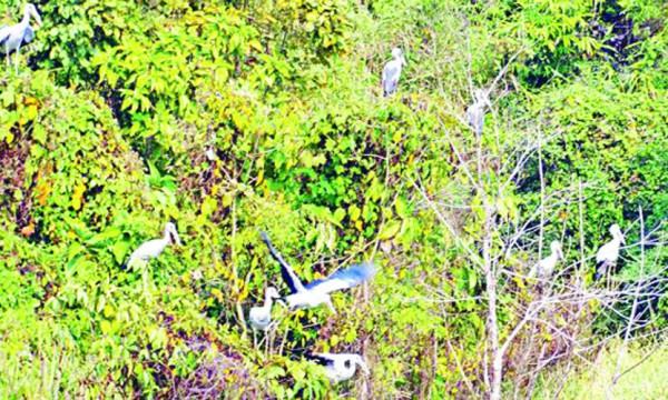 মহামায়া লেকে শামুকখোলের মেলা