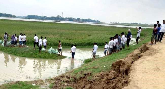 শিক্ষার্থীদের স্বেচ্ছাশ্রমে রক্ষা পেল বিস্তীর্ণ হাওরের ফসল
