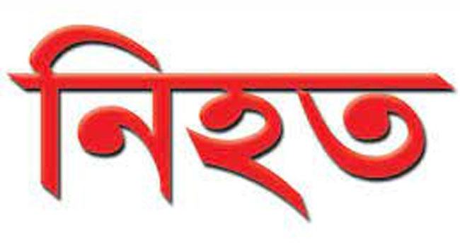 মিরসরাইয়ে গাড়িচাপায় কৃষক নিহত