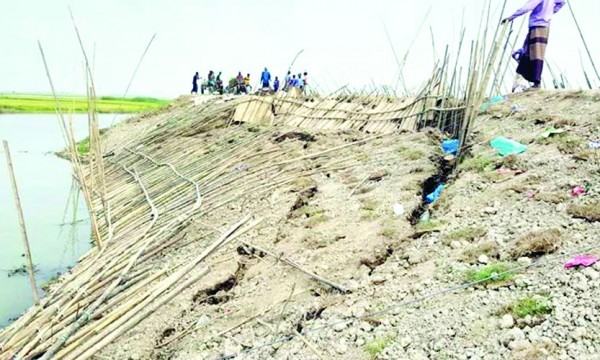 হাওরের বাঁধ রক্ষায় প্রাণান্ত চেষ্টা