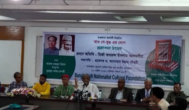 সহ্যের সীমা ছাড়িয়ে গেছে : মির্জা ফখরুল