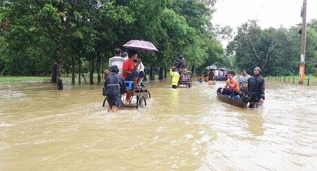 পাহাড়ি ঢলে পানির নিচে যমুনার চরের ফসল