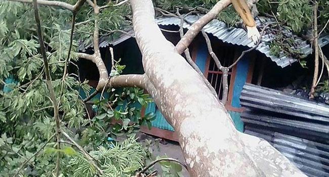 সখীপুরে ঝড়ে ভাঙ্গা ঘরের নিচে পড়ে বৃদ্ধার মৃত্যু