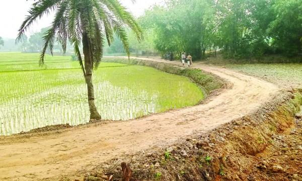 ভালুকায় কাবিখা ও টিআর নিয়ে অনিয়ম অনেক প্রকল্পের অস্তিত্বই নেই