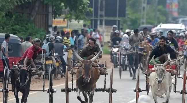 দেশে দেশে যেভাবে বর্ষবরণ হয়