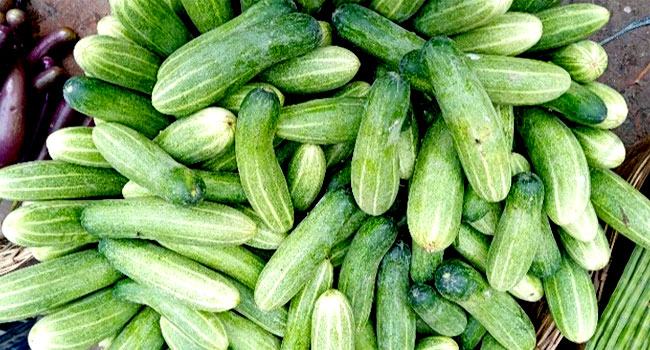 ২ টাকা কেজি দরেও কেউ কিনছে না শসা