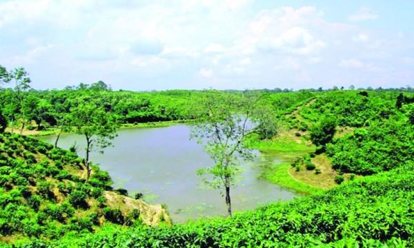 অপরূপ নৈসর্গিক সৌন্দর্যে ভরপুর ভাড়াউড়া লেক
