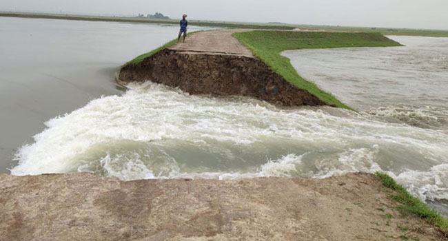 বাঁধ ভেঙে ডুবছে হাজারো কৃষকের স্বপ্ন