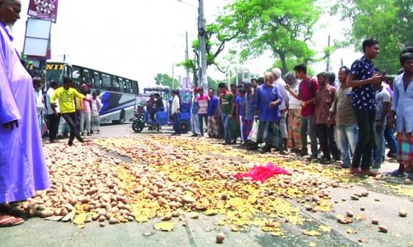 রংপুরে ন্যায্যমূল্যের দাবিতে সড়কে আলু ফেলে চাষিদের প্রতিবাদ