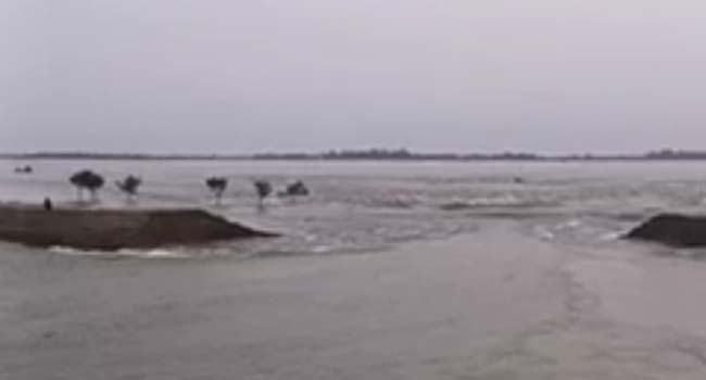 আহসানপুরের বাঁধ ভেঙ্গে ডুবল হালির হাওরের উঠতি বোরো ফসল