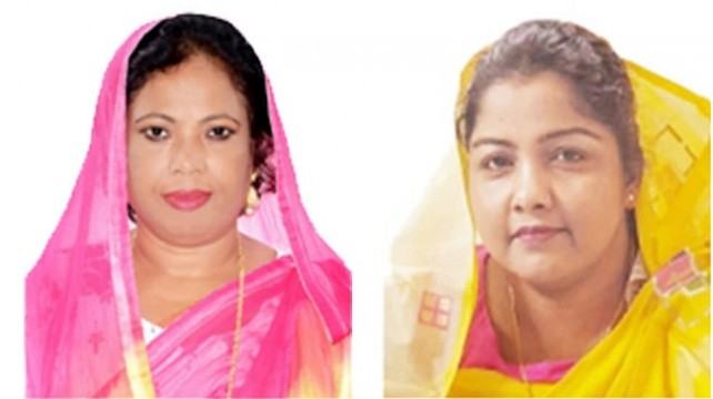 উপজেলা মহিলা ভাইস চেয়ারম্যান এসোসিয়েশনে সভাপতি সেলিনা, সম্পাদক লায়লা