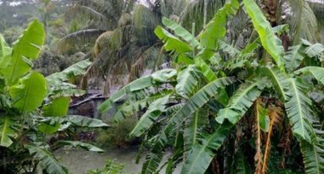 বরগুনায় ঘূর্ণিঝড় ’অশনি’র প্রভাব মোকাবেলায় প্রস্তুত ৬২৯ আশ্রয়ণ