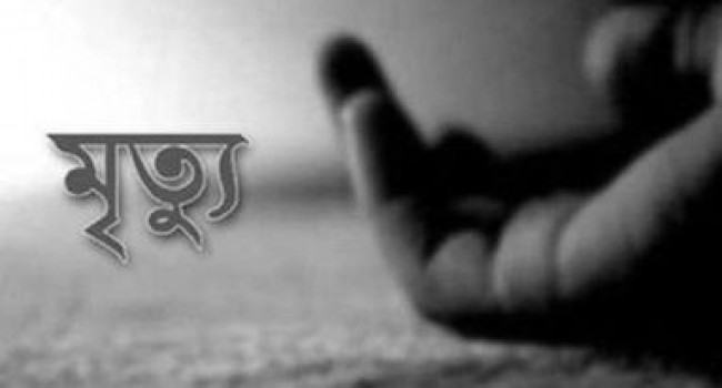 ভাইয়ের মৃত্যুর সংবাদে শুনে মারা গেলেন বোন