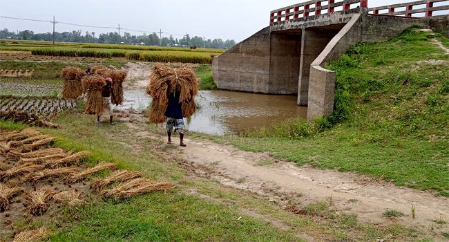 ব্রিজ থাকলেও নেই সংযোগ সড়ক, ভোগান্তিতে এলাকাবাসী