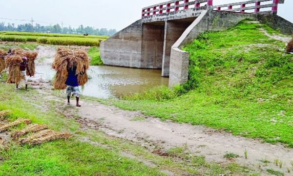 বিলের মধ্যে সেতু : সংযোগসড়ক না থাকায় ভোগান্তি
