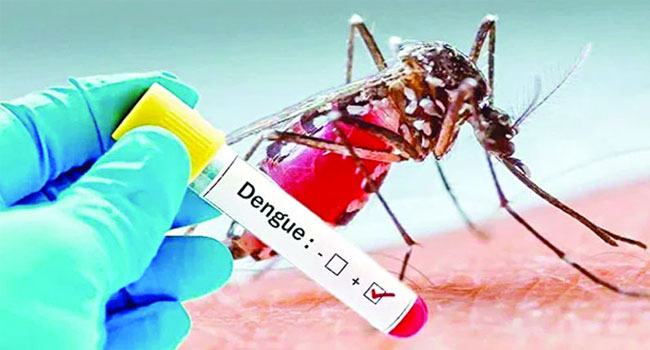 আবারো ডেঙ্গুর ঝুঁকিতে রাজধানী