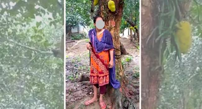 নারীকে গাছে বেঁধে নির্যাতনের অভিযোগ ইউপি সদস্যের বিরুদ্ধে