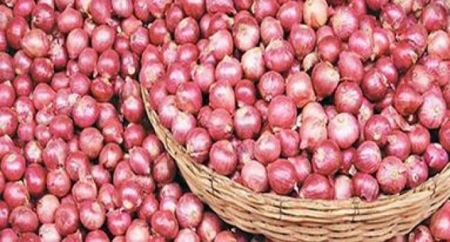 বগুড়ায় বেড়েছে পেঁয়াজের দাম