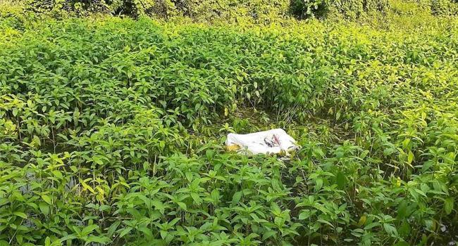 ফরিদপুরে নারীর বস্তাবন্দি অর্ধগলিত লাশ উদ্ধার