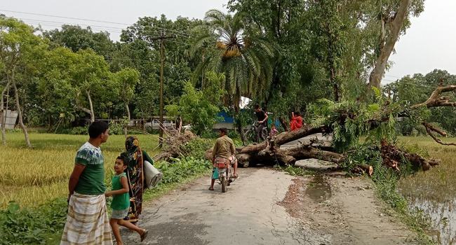 ভূরুঙ্গামারীতে ঝড়ে ব্যাপক ক্ষতি, বিদ্যুৎ সরবরাহ বন্ধ