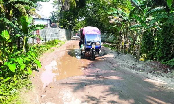 ফুলবাড়ী-বালারহাট সড়কের বেহাল দশায় দুর্ভোগ