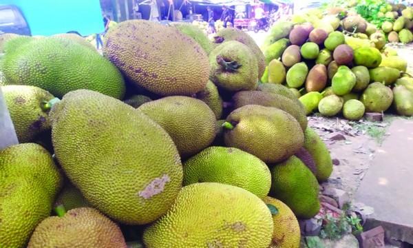 পাইকার সঙ্কটে মানিকছড়ির কাঁঠাল বাজার