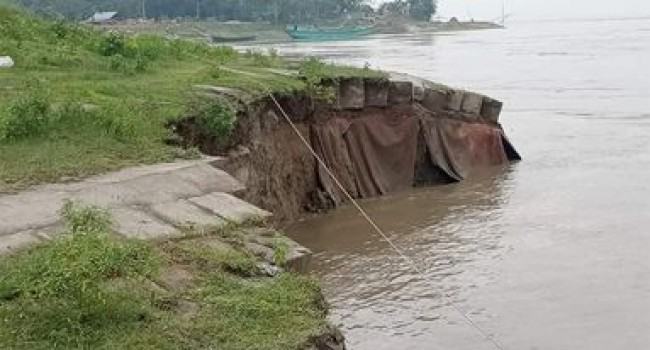ইসলামপুরে পাহাড়ি ঢল, যমুনার বামতীর বাঁধে আবারো ধস