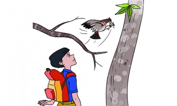 পাখির প্রতি আনুর মায়া